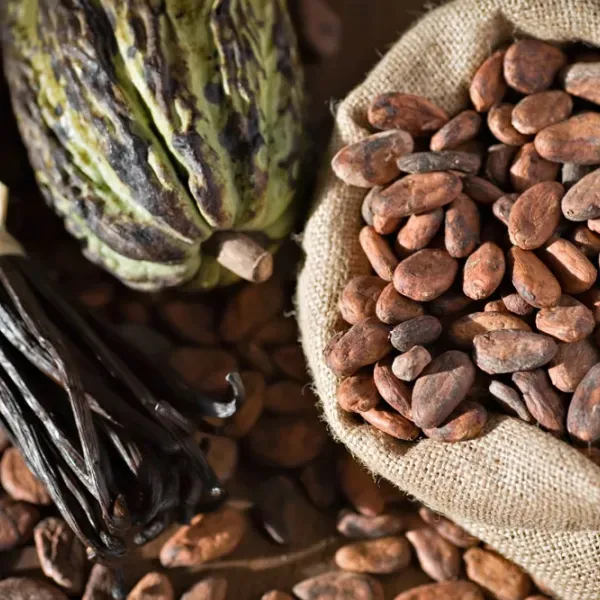 cacao